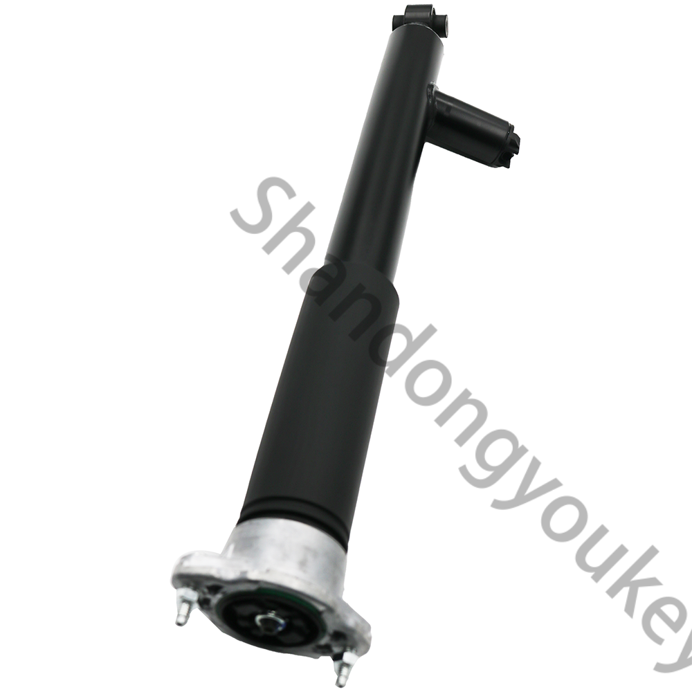 Rear right Shock Absorber for Mercedes-Benz 204 A207 320 4430